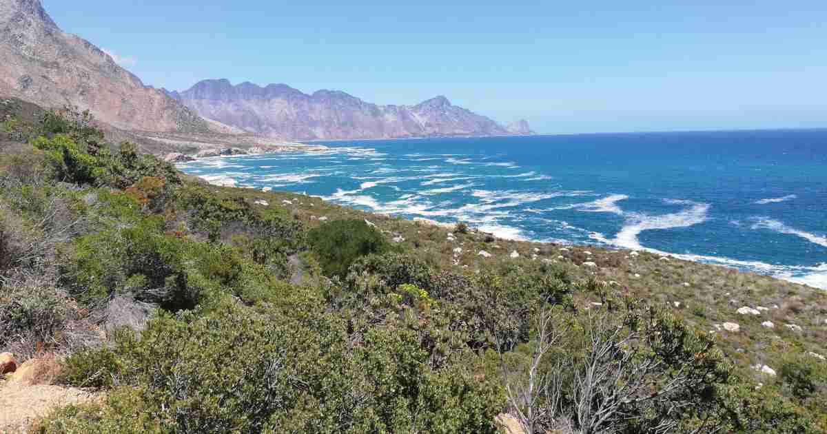 gansbaai - things to do in gansbaai - unsplash