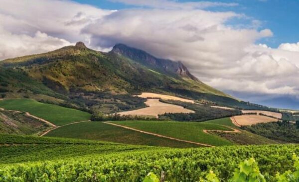 A Scenic Mid-week Stay in Stellenbosch - Image 2