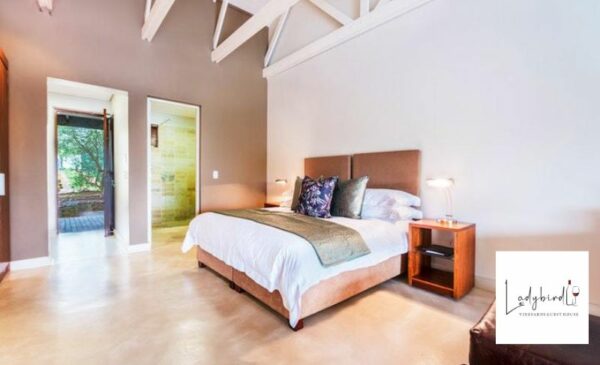 A Scenic Mid-week Stay in Stellenbosch - Image 10