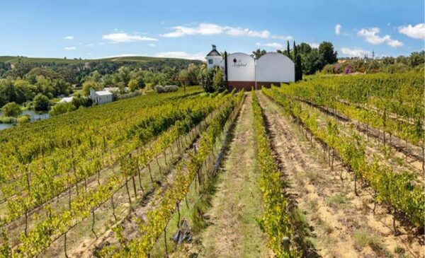 A Scenic Mid-week Stay in Stellenbosch - Image 8