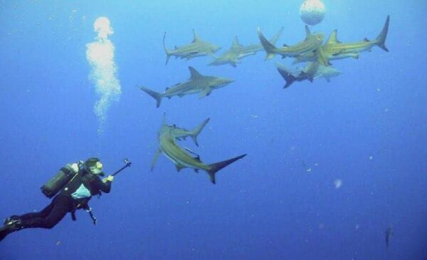 A Scuba Diving Experience for 1