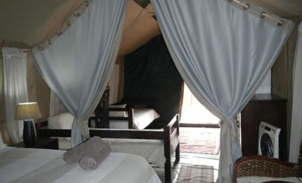 A Nature-filled Glamping Stay for 4 in Overberg - Image 3