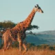 5 Outdoor Play Areas In Johannesburg The Whole Family Will Love