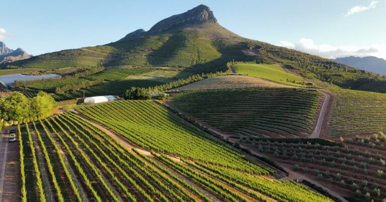 The 20 Best Restaurants in Stellenbosch