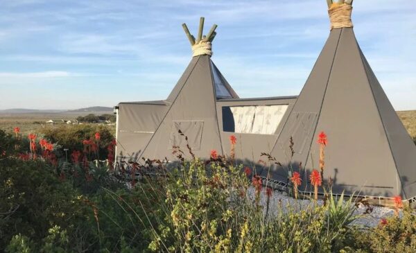1-Night Glamping in The West Coast for 2 - Image 2