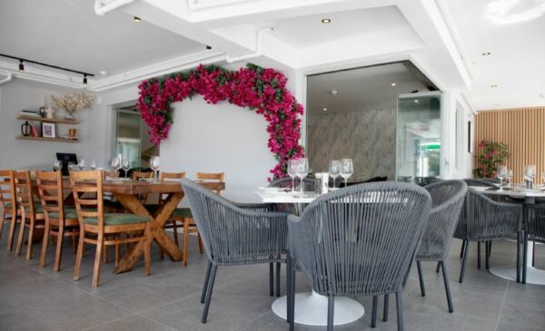 Get Steak, Chops & Chips and Sophie Wine at Bougainvillea Grill - Image 3