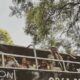 FRIDAY pub crawl JOZI