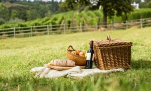 picnic morgenhof estate