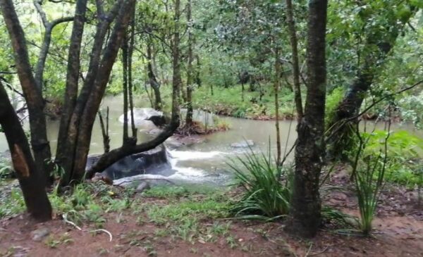 A 1-Night Stay for 2 at a Guest Farm in Nelspruit - Image 3