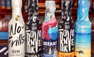 A Gin Tasting for 2 in Langebaan