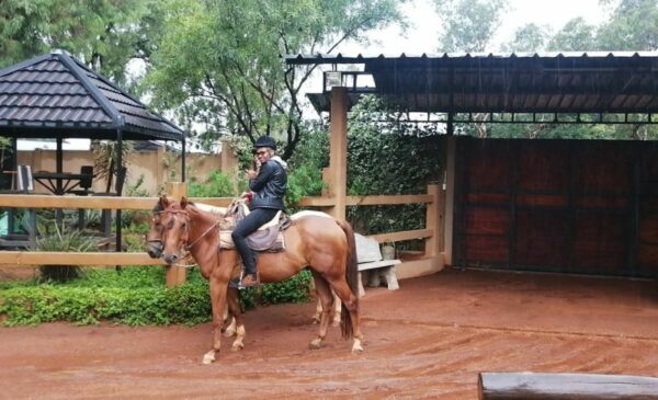 A Horse Riding Experience and Picnic for 2 in Meyerton - Image 7