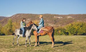 A Horse Riding Experience and Picnic for 2 in Meyerton