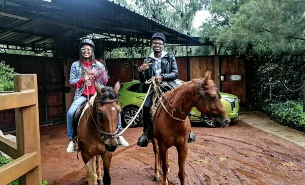 A Horse Riding Experience and Picnic for 2 in Meyerton - Image 5