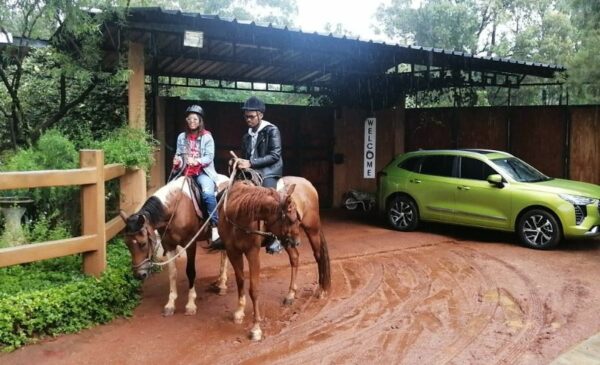 A Horse Riding Experience and Picnic for 2 in Meyerton - Image 6