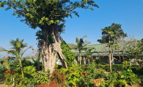 A Seaside Stay for 2 People in Port Shepstone - Image 6