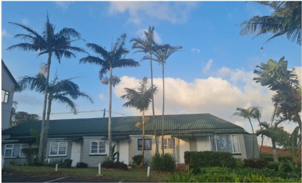 A Seaside Stay for 2 People in Port Shepstone - Image 2