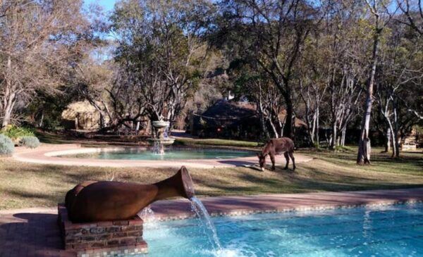 A 1-Night Rustic Magaliesburg Getaway at Hornbill Lodge - Image 3