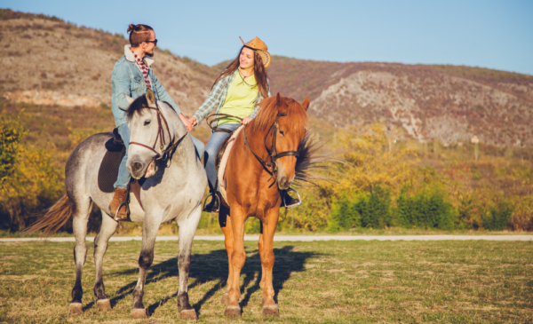 A Romantic Couple's Horse Riding Experience - Image 2