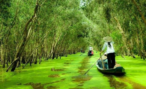 A 14 Day Best of Vietnam North to South Package - Image 10