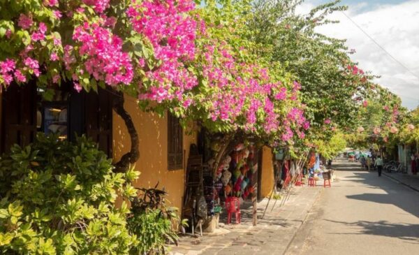 A 14 Day Best of Vietnam North to South Package - Image 17