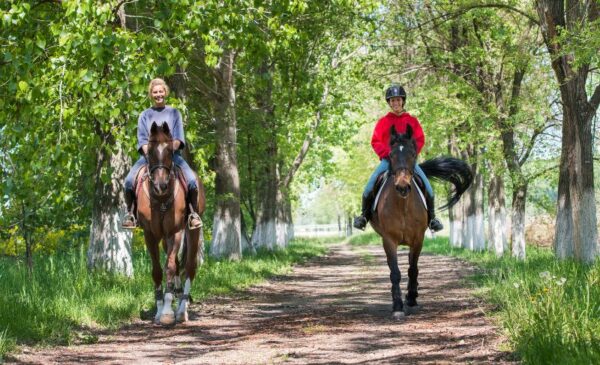 A 2-hour Horse-Back Outride for 2 in Paarl - Image 3