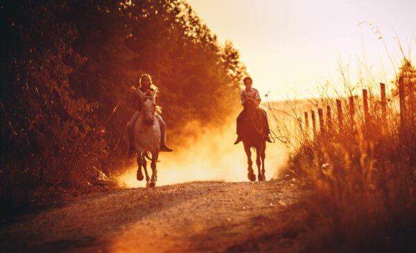 A 2-hour Horse-Back Outride for 2 in Paarl - Image 2