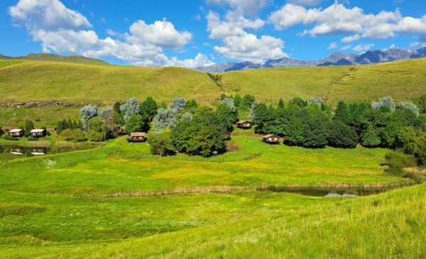 Enjoy Serenity with a 1-Night Midweek Stay in Southern Drakensberg - Image 3