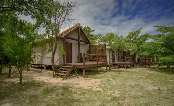A 1-Night Getaway for 2 People Including All Meals at Nkambeni Safari Camp - Image 3