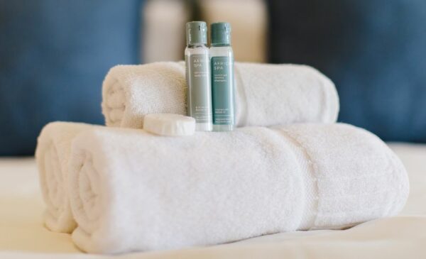 A Luxurious 1-Night Stay along the Garden Route - Image 3