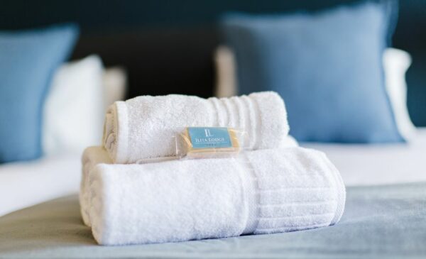 A Luxurious 1-Night Stay along the Garden Route - Image 4