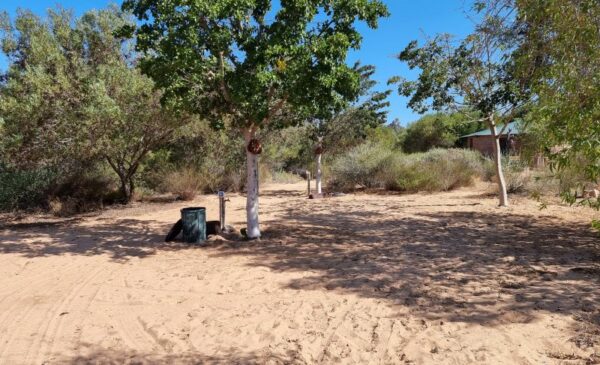 A Camping Experience for 2-Nights With 4 People in Bergriver - Image 3