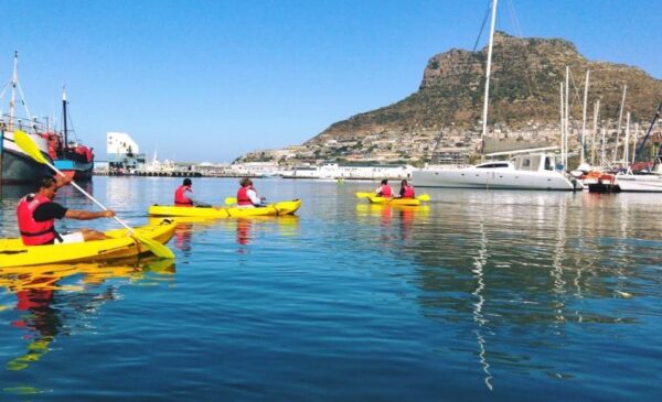A Guided Sea Kayak Tour for 2 in Cape Town - Image 4