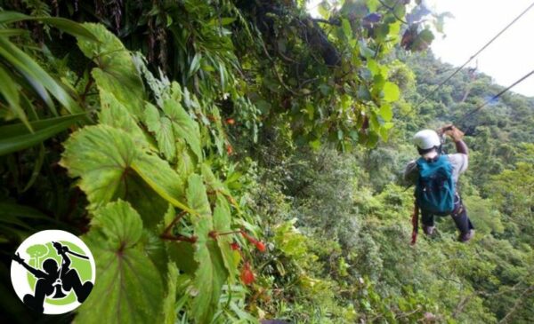 A 2-Hour Zipline Tour for 1 Through the Karkloof Forest