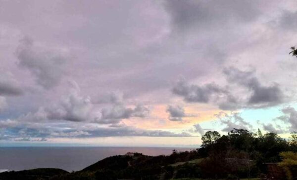 A Self-Catering Seaside Stay for 3 in Wilderness - Image 9