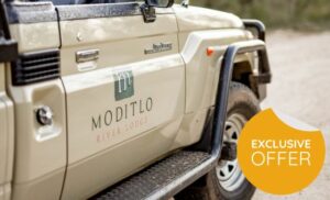 A Luxurious 2-Night Stay for 2 People in Hoedspruit