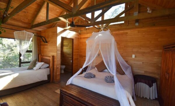 A 2-Night Game Lodge Getaway for 2 in Hoedspruit - Image 3