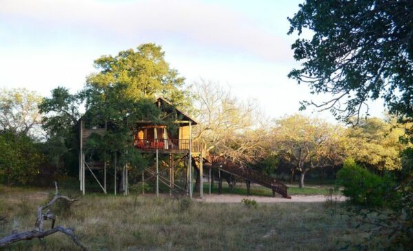 A 2-Night Game Lodge Getaway for 2 in Hoedspruit - Image 2
