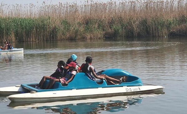 A Fun-Filled Outdoor Activity Pass for 2 in Alberton - Image 5