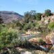 A 2-Night Stay for 6 at the Bosrivier Camp in Citrusdal