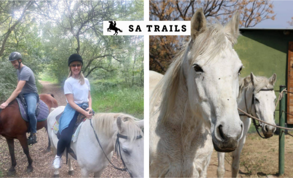 A 1-Hour Horse Ride for 2 in Fourways
