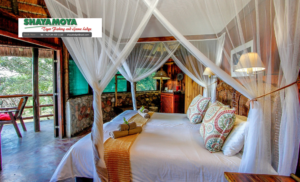 A 2-Night Stay at the Shayamoya Tiger Fishing and Game Lodge