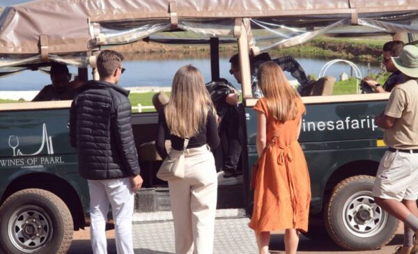 Explore the Winelands with a Wine Safari Tour for 2 in Paarl - Image 3