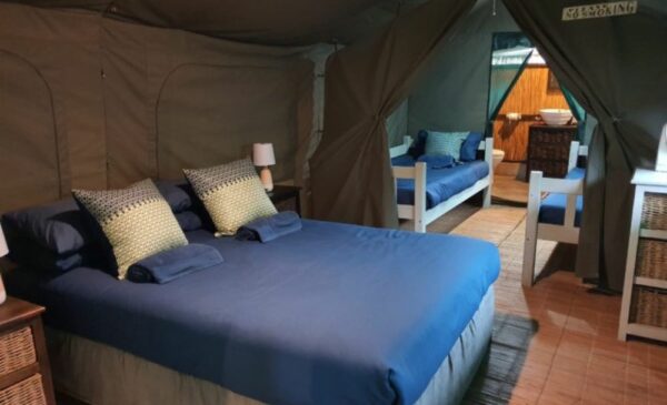 A 7-Night Beachfront Holiday for a Family of 4 in Mozambique - Image 2