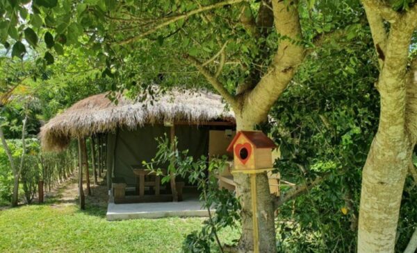 A 7-Night Beachfront Holiday for a Family of 4 in Mozambique - Image 4