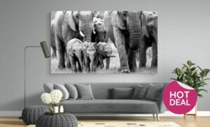 An A1 Framed Stretch Canvas To Hang On Your Wall