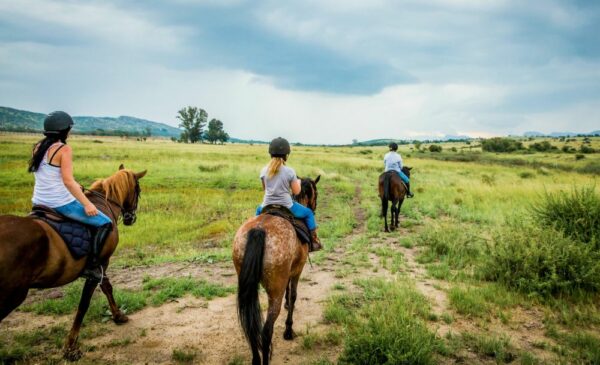 A Picturesque Horse Riding Experience - Image 2