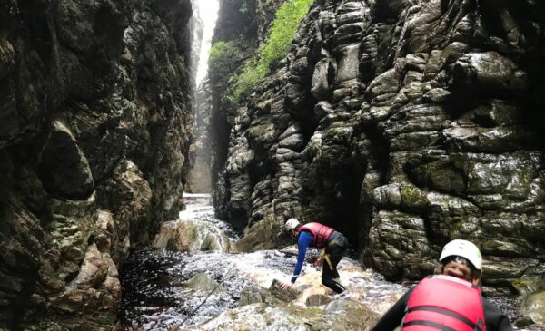 Be Immersed in the Beauty of the Garden Route with an Adventure Canyon Tour - Image 3