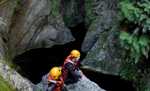Be Immersed in the Beauty of the Garden Route with an Adventure Canyon Tour - Image 4