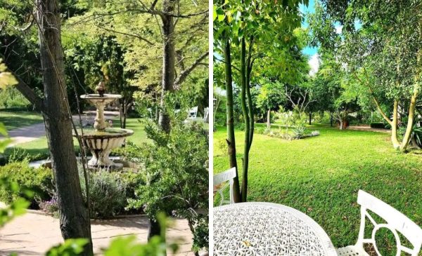The garden area at Riebeek Valley Hotel in Riebeek West