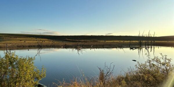 A Romantic Self-Catering Stay at a Country Lodge in the Midlands Meander - Image 4